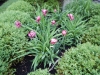 dscn0755
