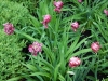 dscn0757