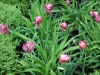 dscn0758