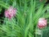 dscn0759