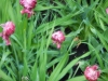 dscn0762