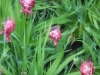 dscn0763