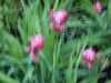 dscn0765