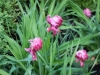 dscn0766