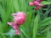 dscn0767