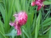 dscn0768