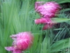 dscn0770