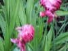 dscn0771