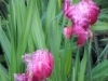 dscn0781