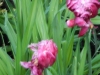 dscn0783