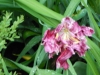 dscn0786