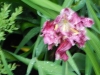 dscn0787
