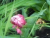 dscn0790