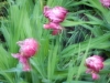 dscn0792