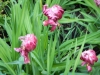 dscn0793