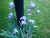 dscn0795
