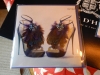 dscn0347