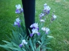 dscn0794