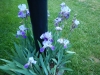 dscn0795