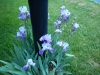 dscn0796