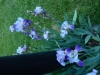 dscn0799