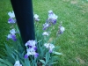 dscn0801