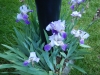 dscn0802