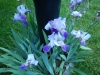 dscn0803