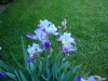 dscn0810