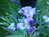 dscn0811