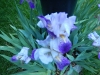 dscn0812