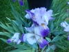 dscn0813