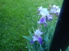 dscn0814