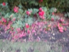dscn0869