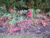 dscn0870