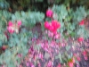 dscn0872