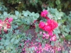 dscn0873