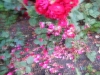 dscn0874