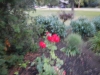 dscn0876