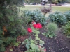 dscn0877