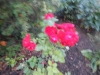 dscn0879