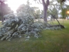 dscn0880