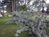 dscn0889