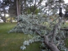 dscn0890