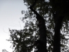 dscn0893