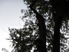 dscn0894
