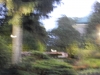 dscn0897
