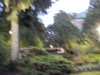 dscn0898