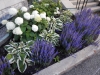 dscn0901