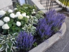 dscn0902